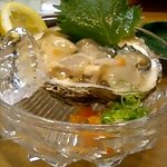 割烹 鷹の羽 - 能登の岩かき♪　プリップリ♪