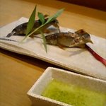 割烹 鷹の羽 - 鮎の塩焼き♪