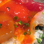 めしの助 - 朝の少し小さめ海鮮丼(¥1,000) ヅケ黄身トロり