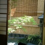 おづKyoto -maison du sake- - テーブル席からは坪庭が見えます 風に揺られる青紅葉が涼しげ～♪