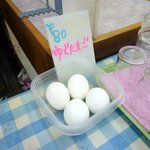 KOKO - ゆで卵