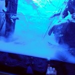 うなぎ屋酒坊・画荘 越後屋 - 