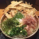 大地のうどん - ごぼう天ぶっかけ 冷 大盛