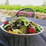ヴィアッヂオ - 柏サラダ 480円