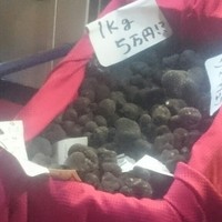 よろにく - 