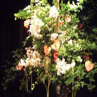 トゥールダルジャン 東京 - 2010年8月の装花