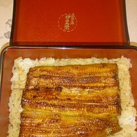 鰻割烹 伊豆栄 本店 - 