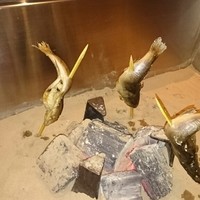 銀座方舟 大吟醸いろり店 - 