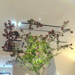 レストラン ラッセ - 