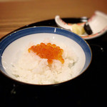 美酒美食 平田 - イクラご飯