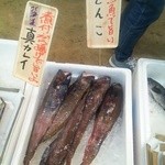 大洗ポートエリア - 
