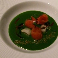 TRATTORIA CREATTA - クレソンのクレーマ、桜ます