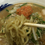 Soba Dokoro Shoppe - 麺アップ