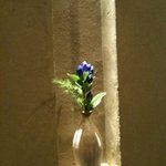 ぎんざ 一二岐 - 