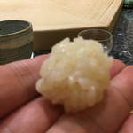 初音鮨 - 2016年3月下旬。