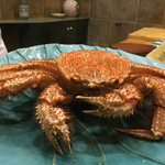 初音鮨 - 2016年3月下旬。