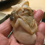 初音鮨 - 2016年3月下旬。