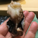 初音鮨 - 2016年3月下旬。