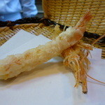 宮川町 喜久屋 - さい巻海老