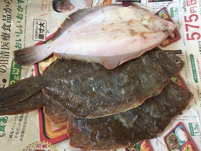 西村鮮魚店 - 南小樽（その他）の写真