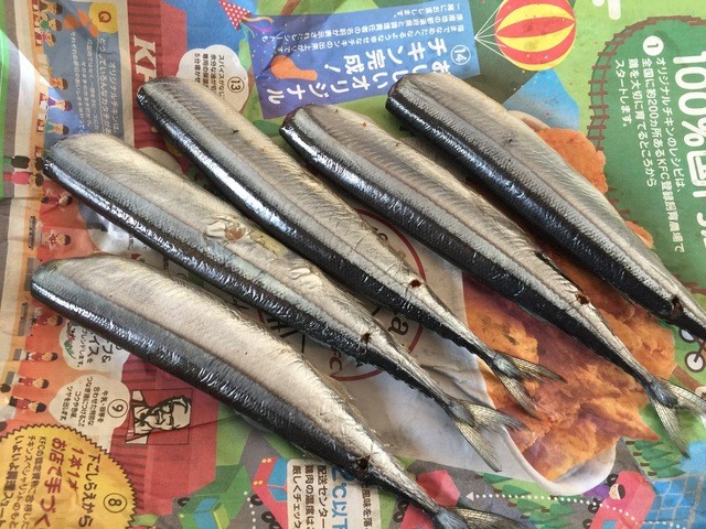 西村鮮魚店