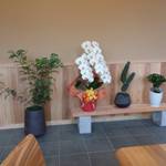 蕎麦料理 すみや - 内観。