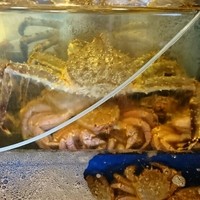 かに道楽 練馬谷原店 - 水槽の蟹