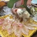 釣船茶屋 ざうお - 鯛の半身お造り