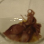 ザ・フジヤ - ホタルイカとクスクス