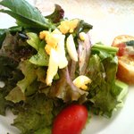 ヴィノ・エ・パスタ - 鎌倉野菜のサラダ