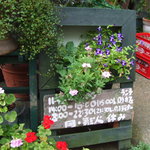 スパイスカフェ - 2010.8月