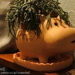 カレーとコーヒーとチャイ かばくん - 