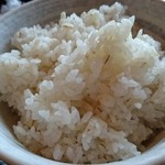 Gyuutan Gotoku - 麦飯。あっぷ。
                        