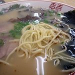 紅龍軒 - 熊本ラーメン　太麺　2