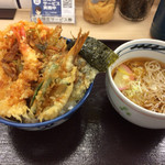 Tendon Tenya - 