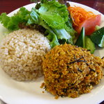 fast-slow food:HARU - ひじきと豆腐のドライカレー