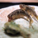 虎白 - 揚物　稚鮎　こごみ