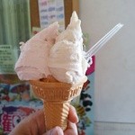 アイス工房 ももい - サクラとラムレーズンのダブル