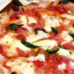 ピッツェリア パドリーノ・デル・ショーザン - マルゲリータフィレット
                                ポモドーロに瑞々しく味の濃いミニトマトを加えて有ります。
