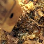 松屋 - 牛めしに黒胡麻焙煎七味をかける