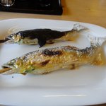 杉ケ瀬ヤナ - 中と特大（２０１０年）