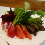 有機野菜のフレッシュサラダ
          