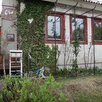 プティ ラパン - 