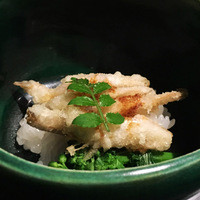 室町 和久傳 - 白海老天麩羅の飯蒸し(2016/4月撮影)