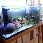 さく・ら・ぱん - 