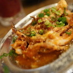 piccolo MODENA - イカアラビアータ