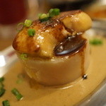 piccolo MODENA - フォアグラでーこん