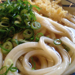 Marugame Seimen - 