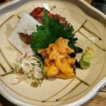 居酒屋　ちょーちょ - ホヤ刺し