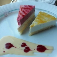 スターゲイト - 